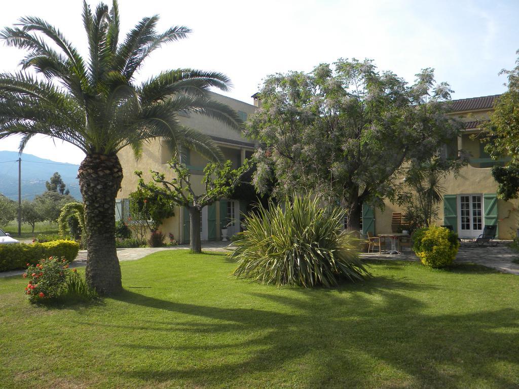 Auberge Les Oliviers Lucciana  Exterior foto