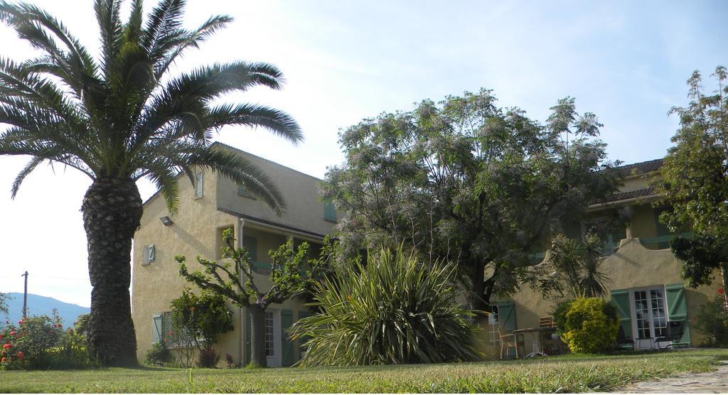 Auberge Les Oliviers Lucciana  Exterior foto