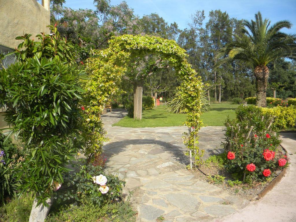 Auberge Les Oliviers Lucciana  Exterior foto